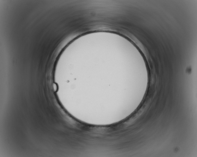 X0000100311293200807031138