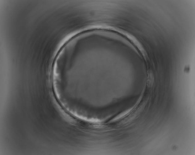 X0000100311295200807031138
