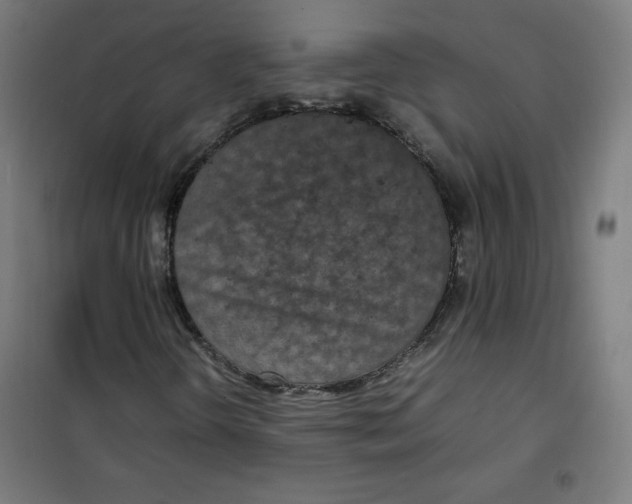 X0000100311298200807031137