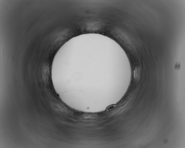 X0000100311299200807031137