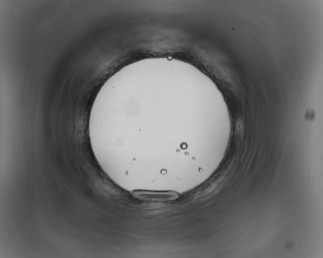 X0000100311300200807031137