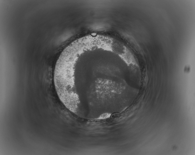 X0000100311301200807031137