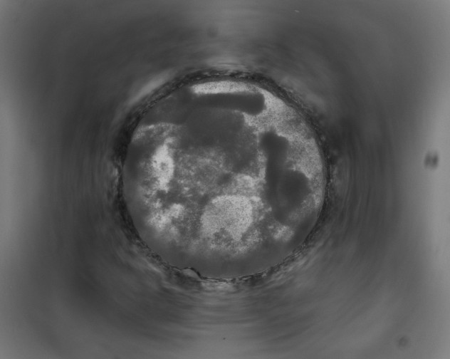 X0000100311302200807031137