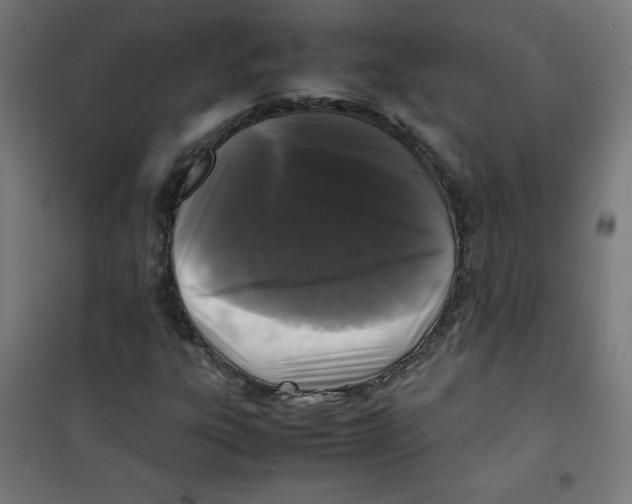 X0000100311303200807031137