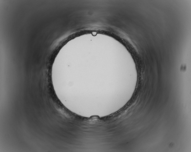 X0000100311304200807031137
