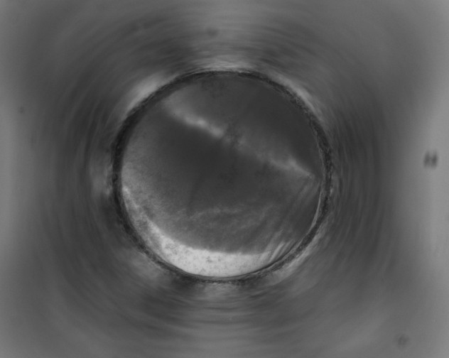 X0000100311306200807031137