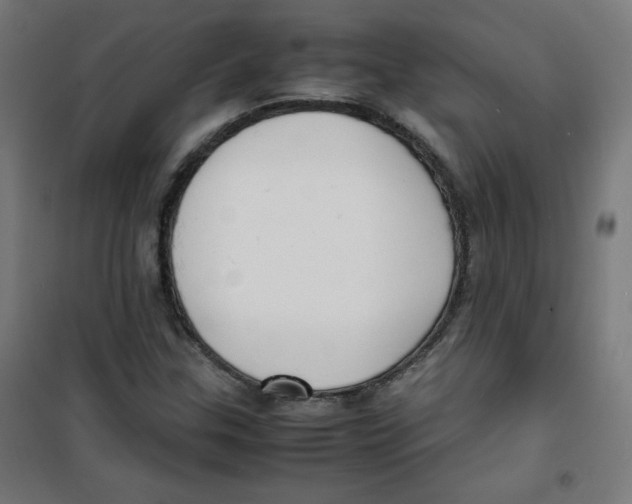 X0000100311307200807031137