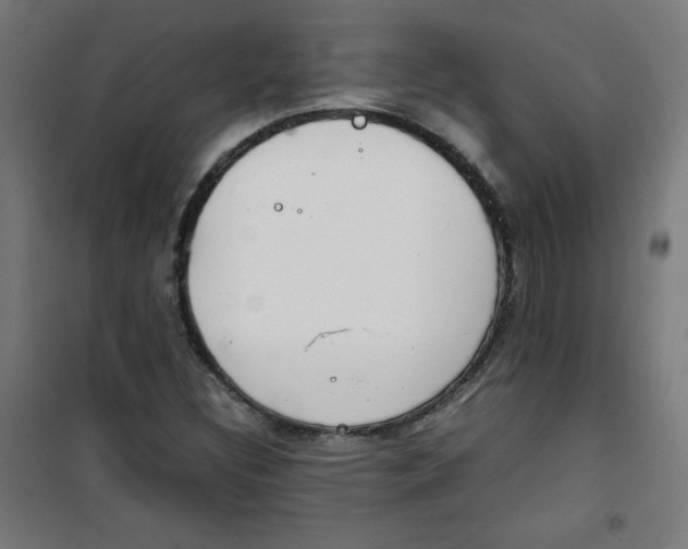 X0000100311308200807031137