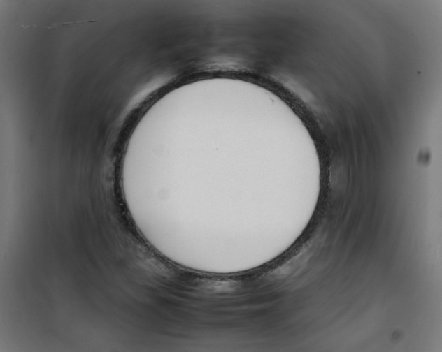 X0000100311309200807031137