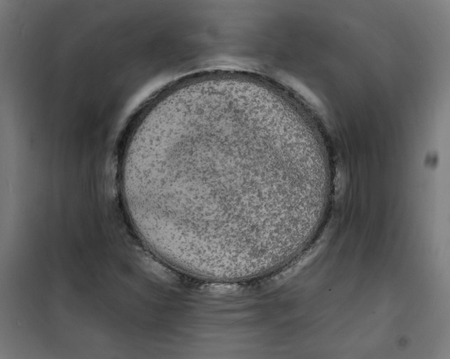 X0000100311310200807031137