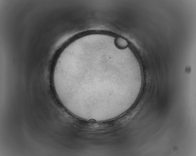 X0000100311311200807031137