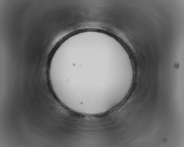 X0000100311312200807031137