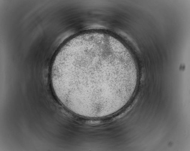 X0000100311313200807031137