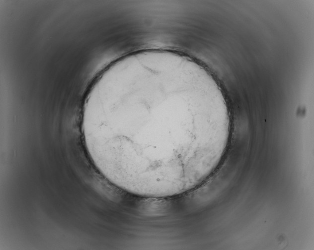 X0000100311314200807031137