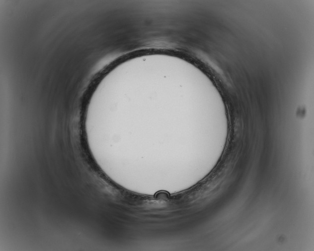 X0000100311315200807031137