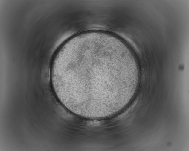 X0000100311317200807031137