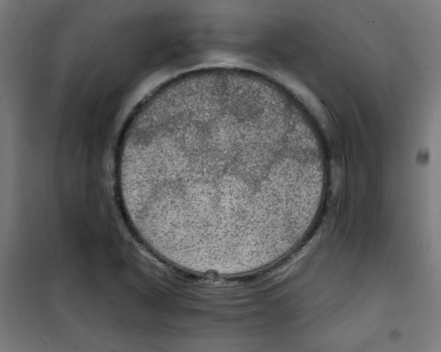 X0000100311318200807031137