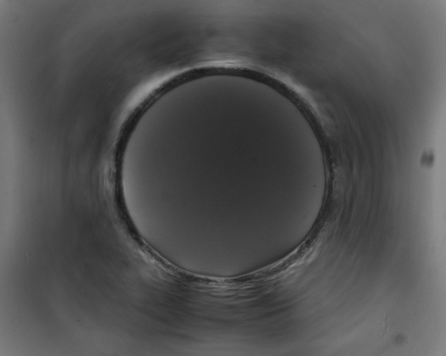 X0000100311319200807031137