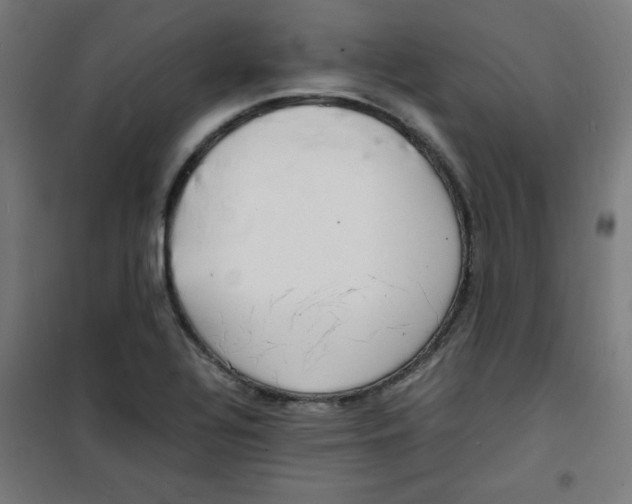 X0000100311320200807031137