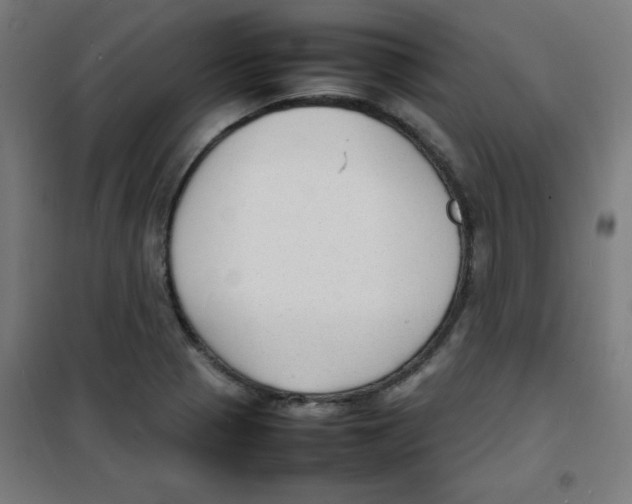 X0000100311321200807031137