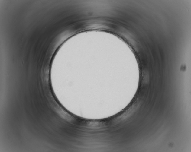 X0000100311322200807031137