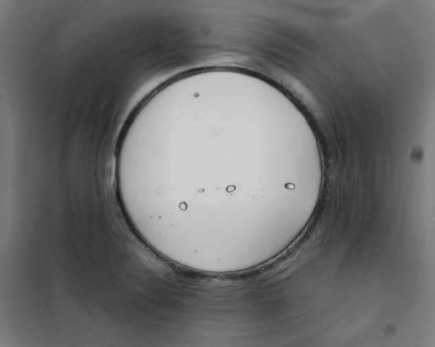 X0000100311324200807031137