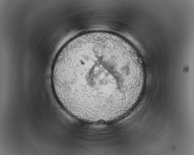 X0000100311325200807031137