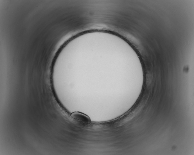 X0000100311326200807031137