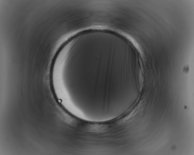 X0000100311327200807031137