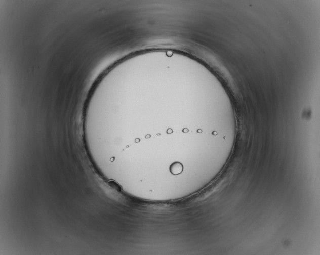 X0000100311328200807031138