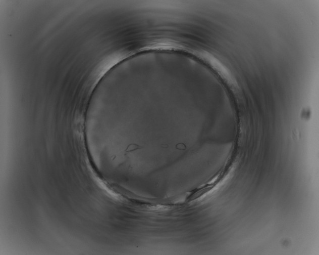 X0000100311329200807031138
