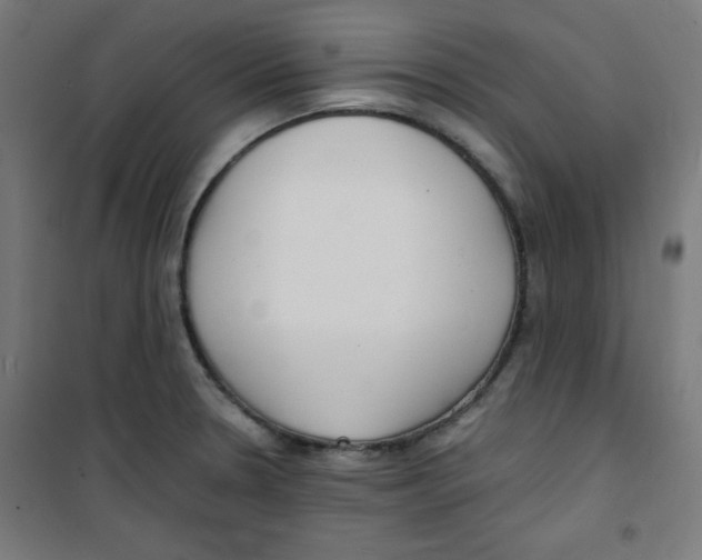 X0000100311330200807031138