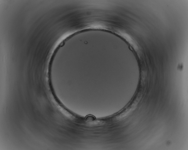 X0000100311331200807031138