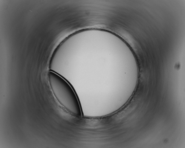 X0000100311332200807031138