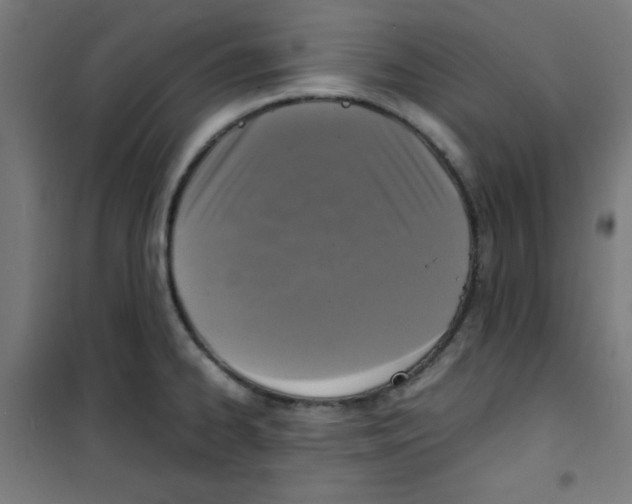 X0000100311334200807031138
