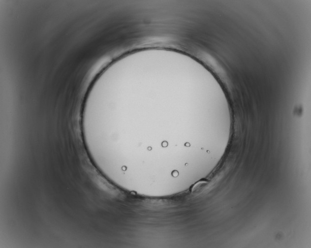 X0000100311336200807031138