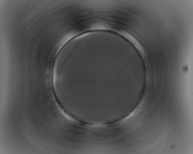 X0000100311337200807031138