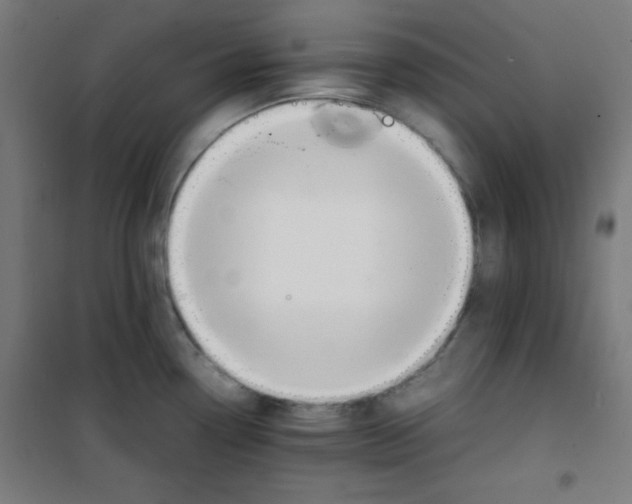 X0000100311338200807031138