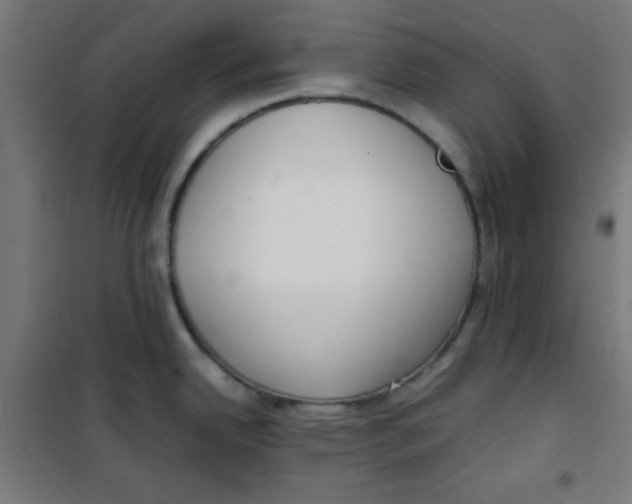 X0000100311342200807031138