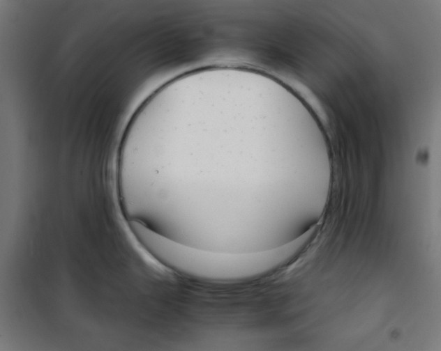 X0000100311343200807031138