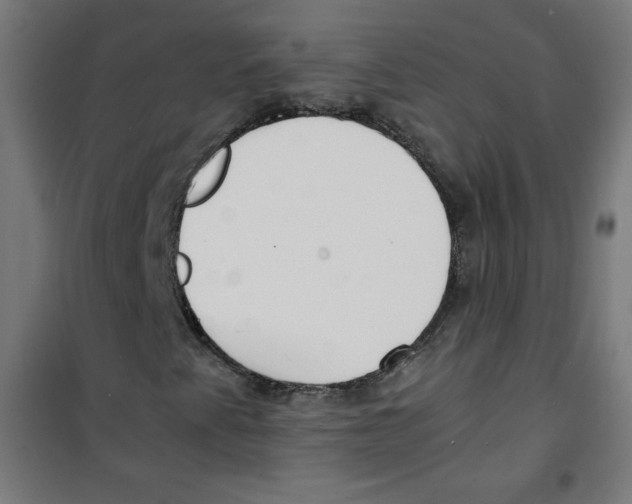 X0000100311345200807031137