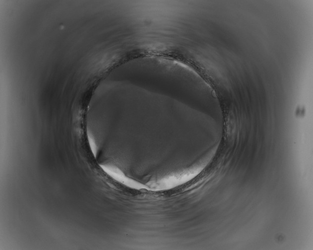 X0000100311346200807031137