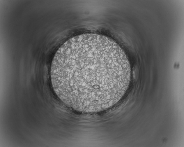 X0000100311347200807031137