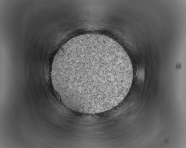 X0000100311348200807031137