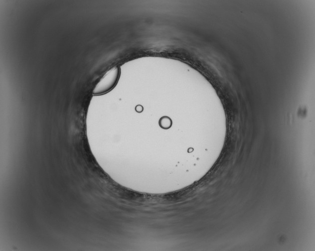 X0000100311349200807031137