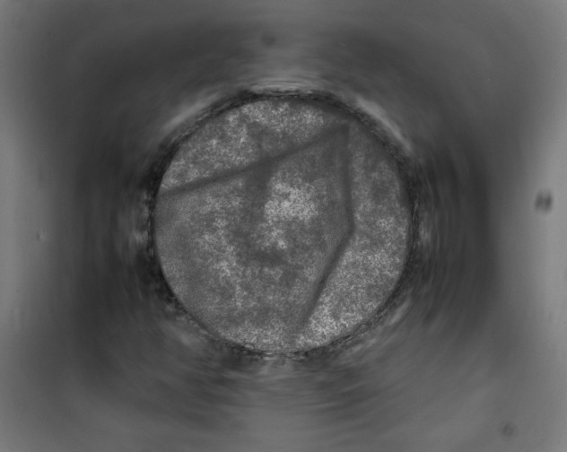 X0000100311350200807031137