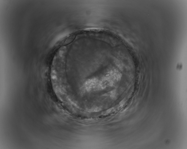X0000100311351200807031137