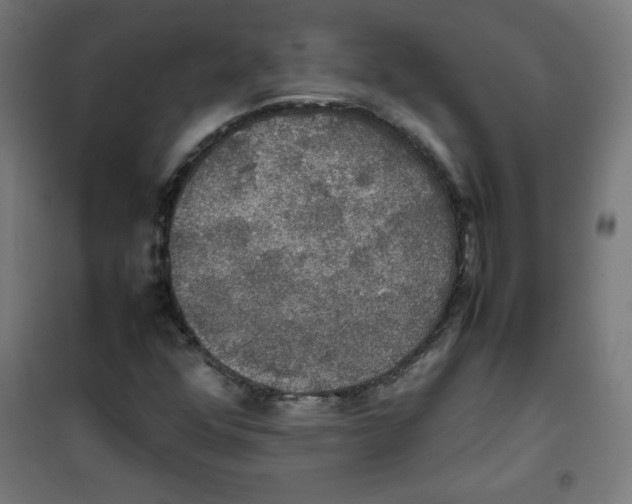 X0000100311352200807031137