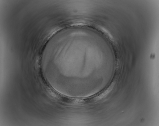 X0000100311353200807031137