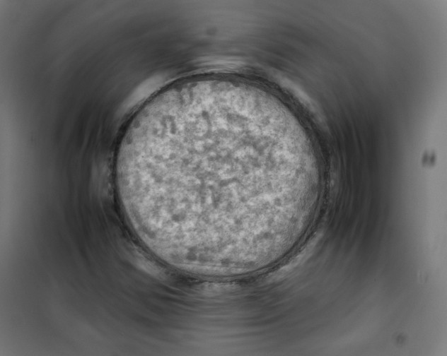 X0000100311354200807031137